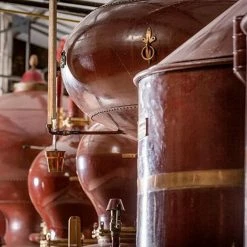 Urban Bar Maxime Trijol Extra - 70cl Sparkling Wines, Spirits & Liquors