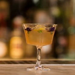 Urban Bar 1890 Fizz Cocktail Glass Coupe 20cl Glassware