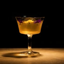 Urban Bar 1890 Fizz Cocktail Glass Coupe 20cl Glassware