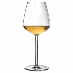 Urban Bar Iris Shatterproof Plastic Wine Glass 50cl
