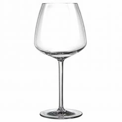 Urban Bar Iris Shatterproof Plastic Wine Glass 76cl Glassware