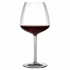 Urban Bar Iris Shatterproof Plastic Wine Glass 76cl Glassware