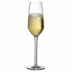 Urban Bar Iris Shatterproof Plastic Champagne Flute 24cl Glassware