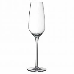 Urban Bar Iris Shatterproof Plastic Champagne Flute 24cl Glassware