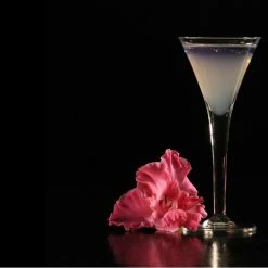 Urban Bar The Ultimate Vodka-Cocktail Course Educational Spirit Courses