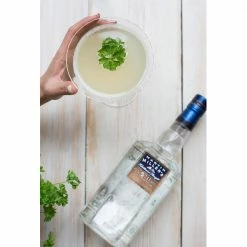 Urban Bar Martin Miller’s Westbourne Gin - 70cl